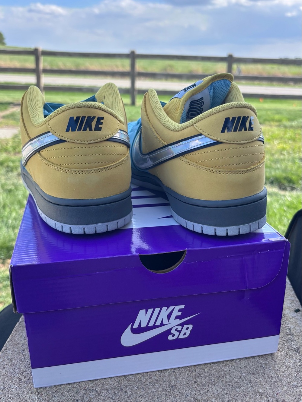 Nike SB Dunk Low Muni Fast Pass IR1888-700 Men's Size 13 - Picture 6 of 7